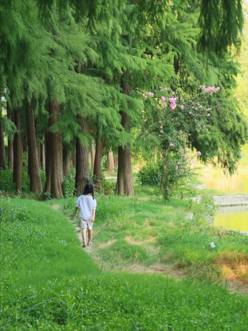 汉水公园旅行图片 3