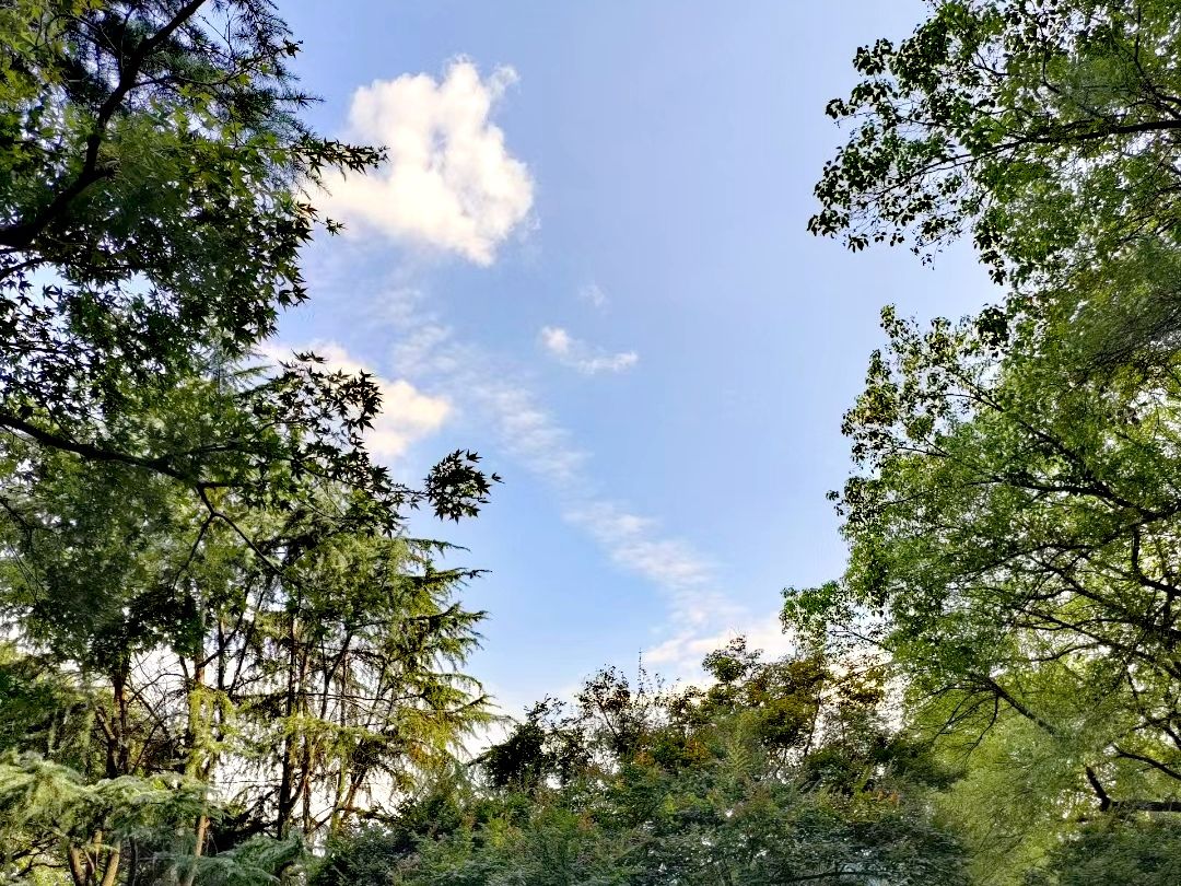 汉水公园旅行图片 2