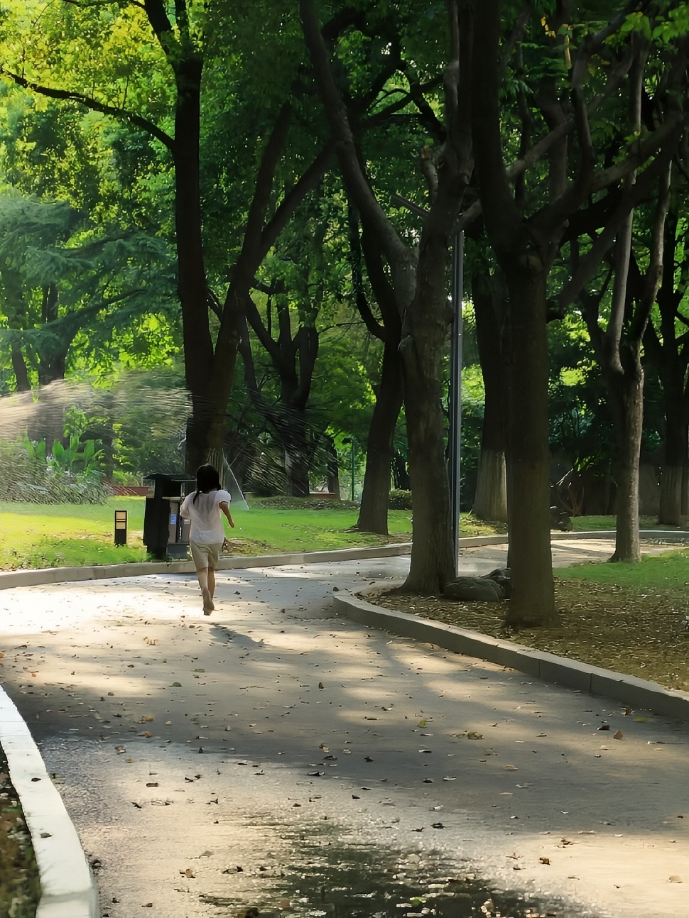汉水公园旅行图片 2