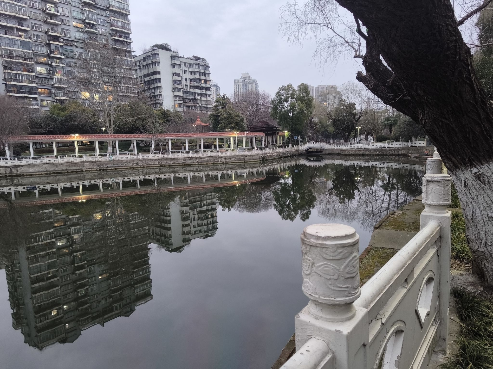 小南湖公园旅行图片 2