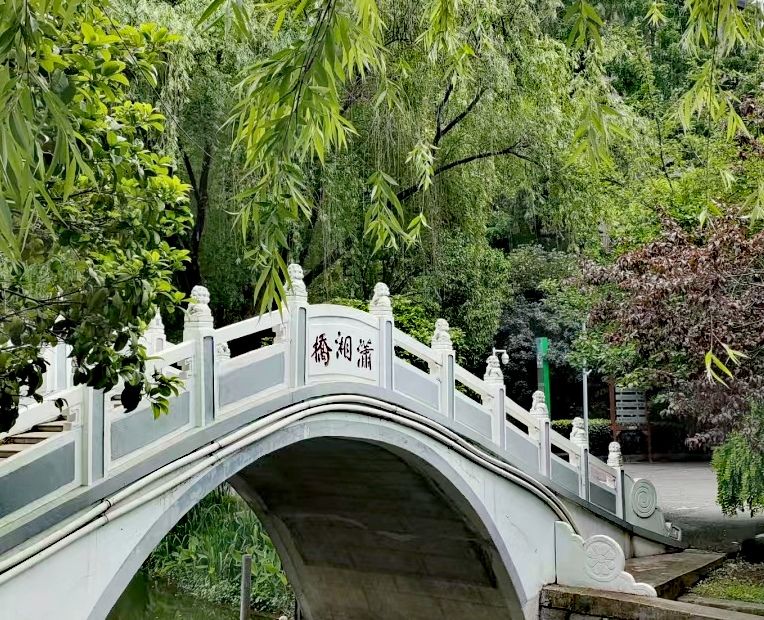 小南湖公园旅行图片 1