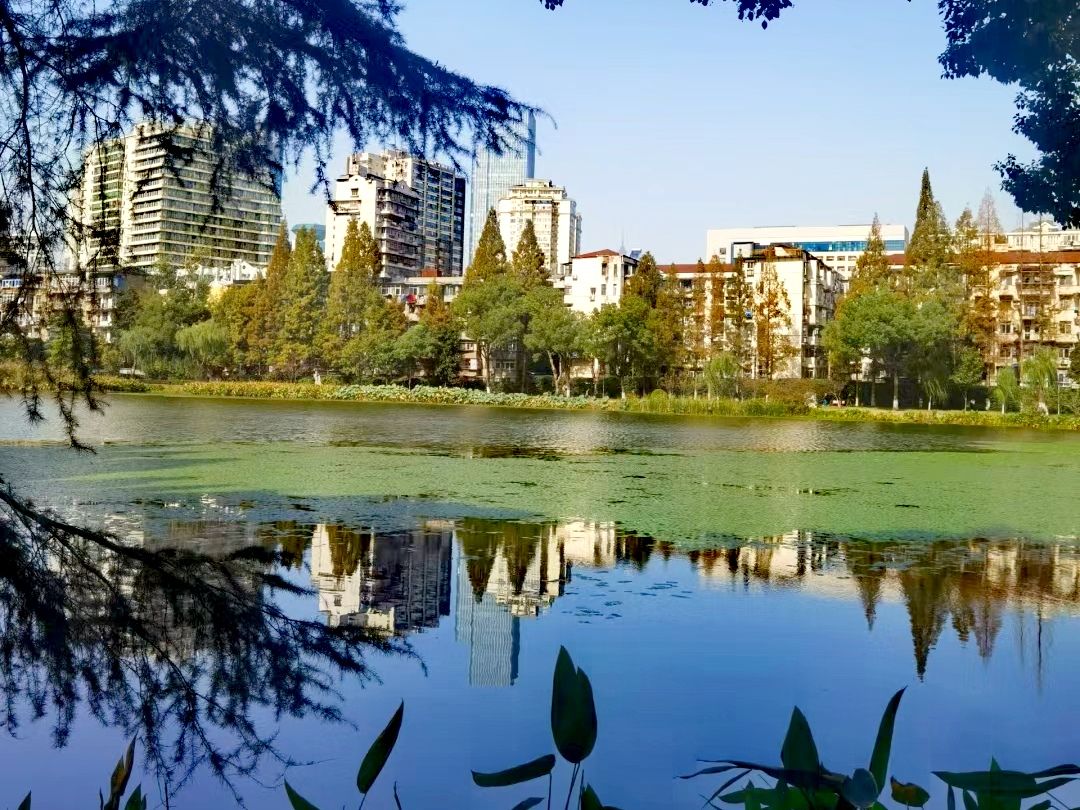 小南湖公园旅行图片 2