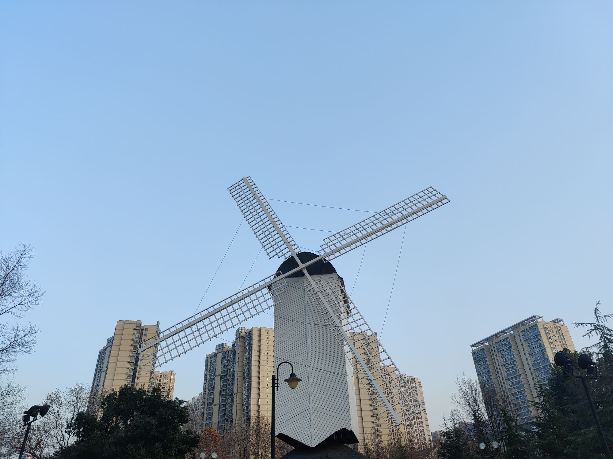 关山荷兰风情园旅行图片 2