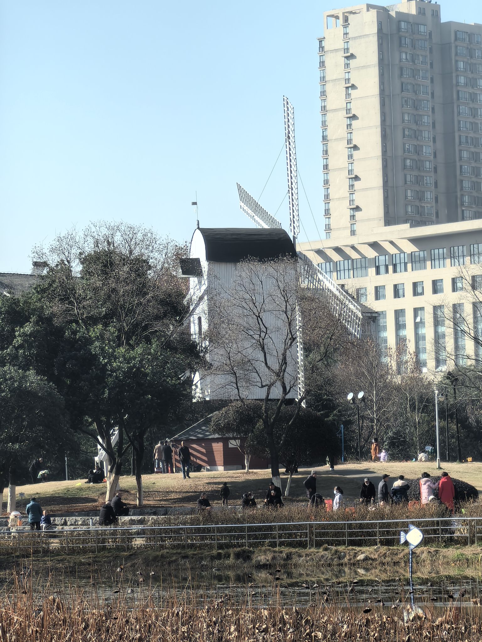 关山荷兰风情园旅行图片 3