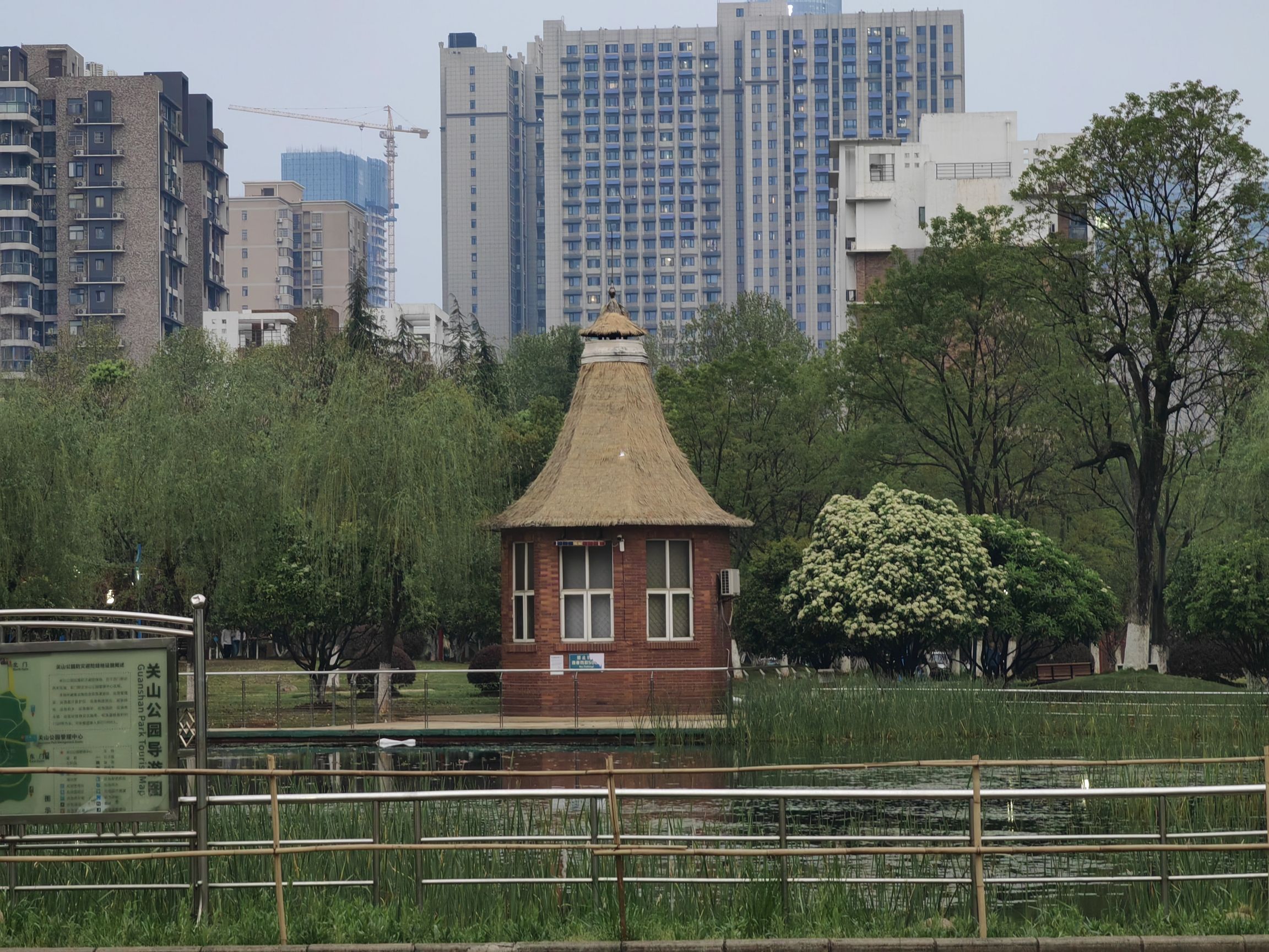 关山荷兰风情园旅行图片 1