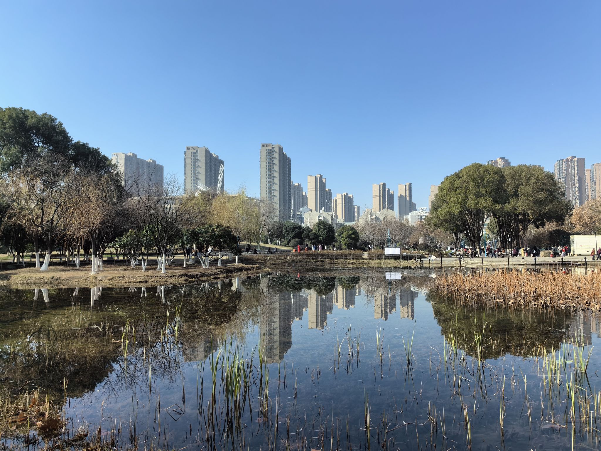 关山荷兰风情园旅行图片 1