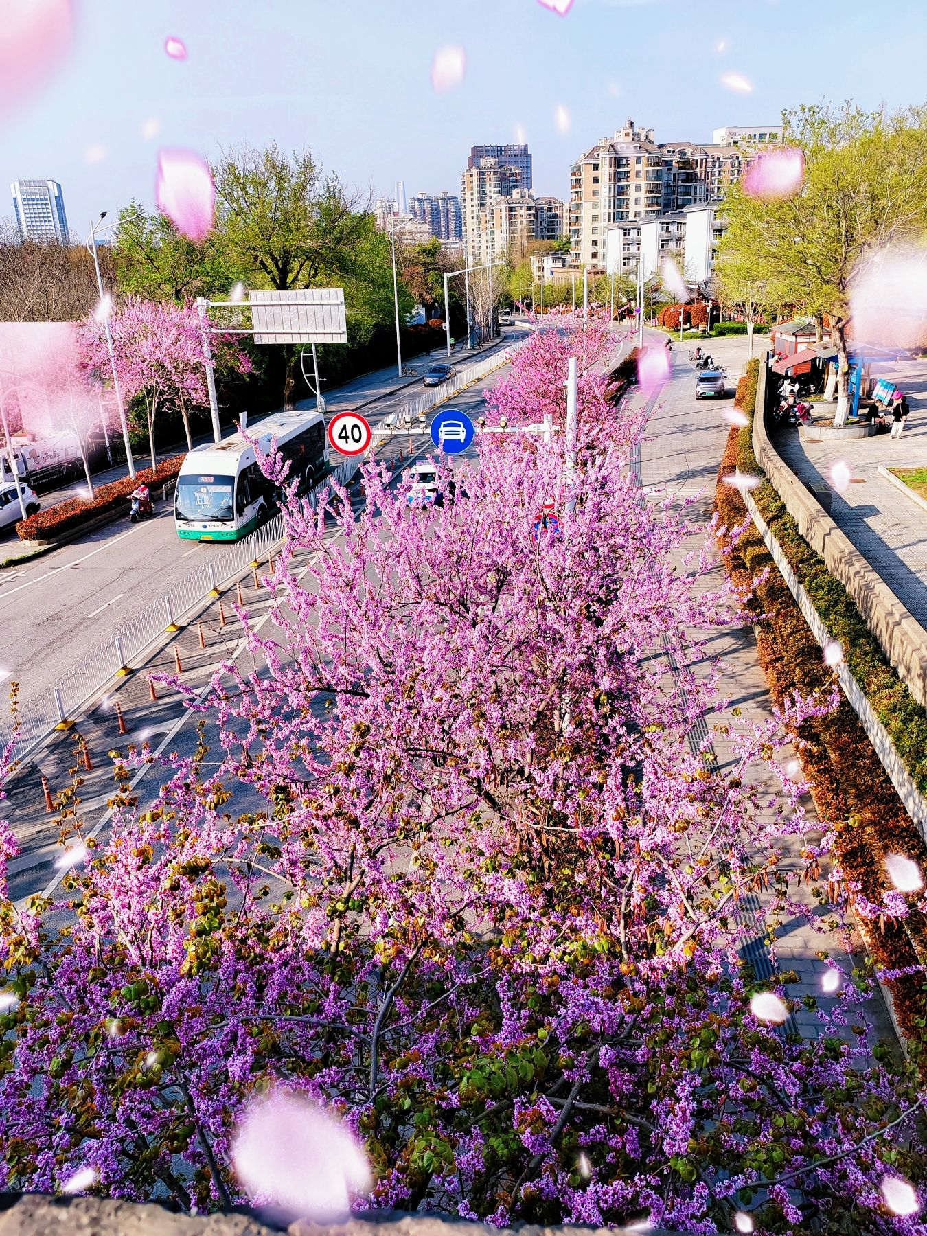 楚望台遗址公园旅行图片 3