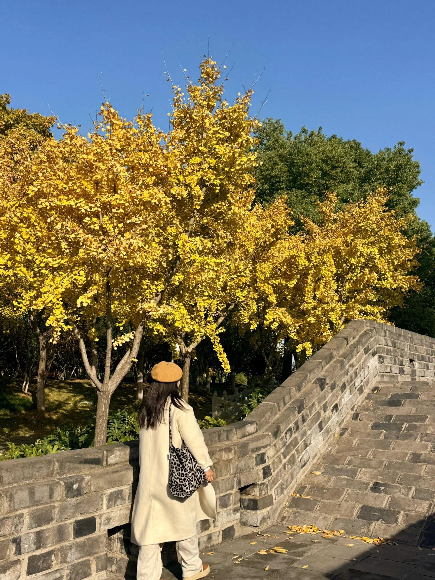 楚望台遗址公园旅行图片 1