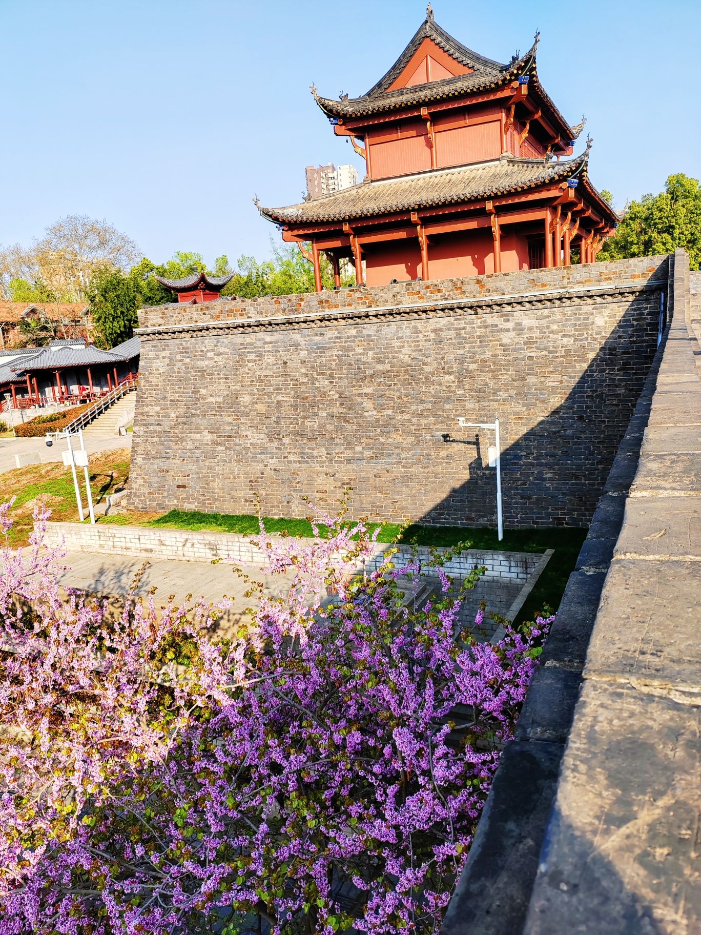 楚望台遗址公园旅行图片 2