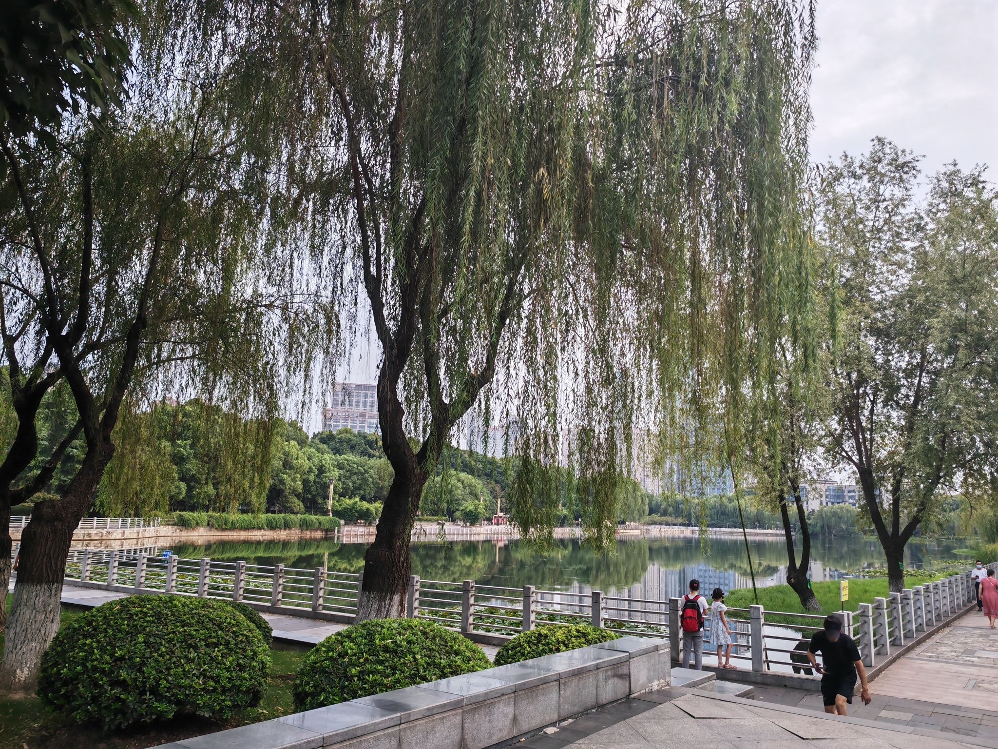 后襄河公园旅行图片 1