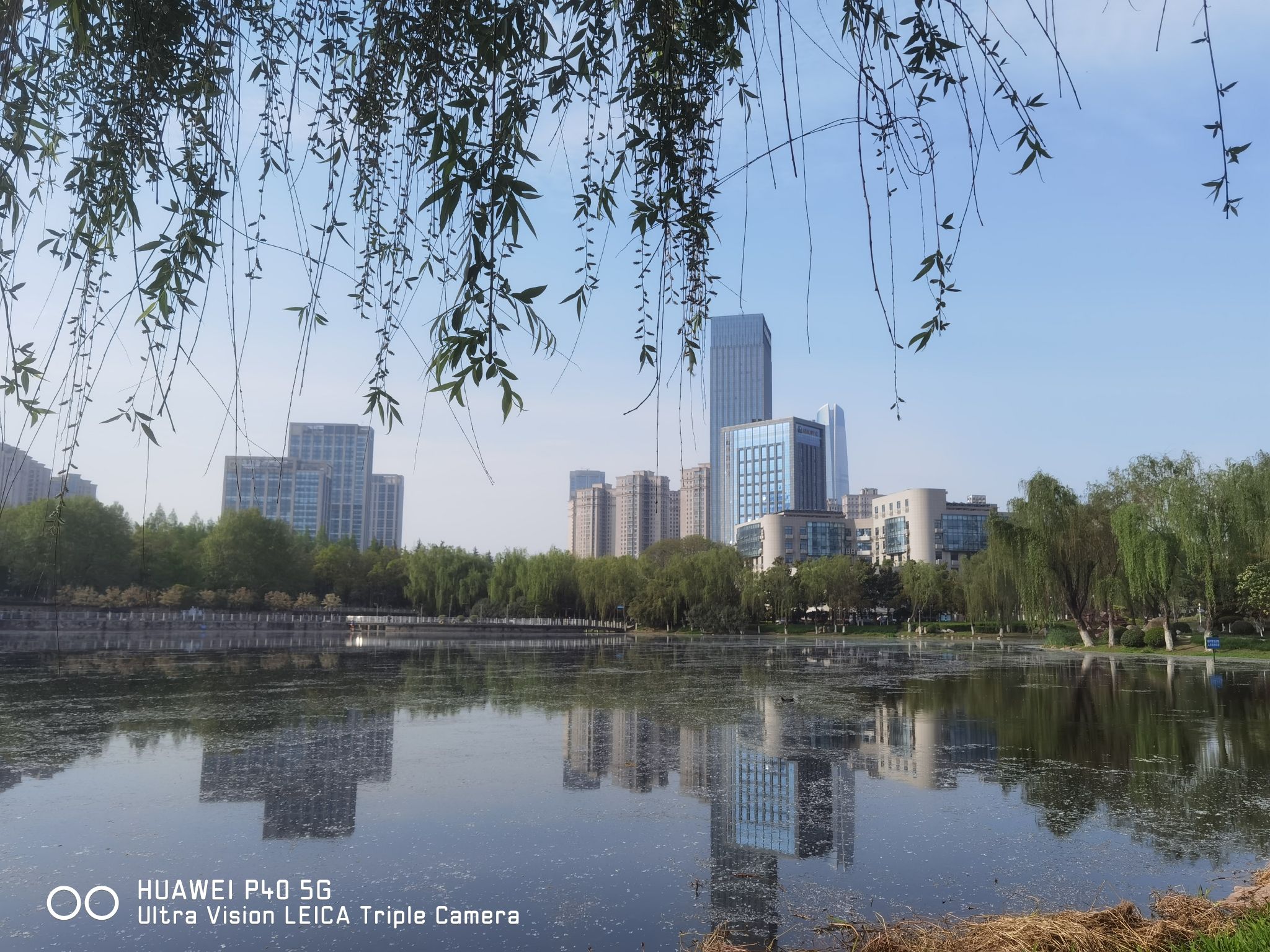 后襄河公园旅行图片 3