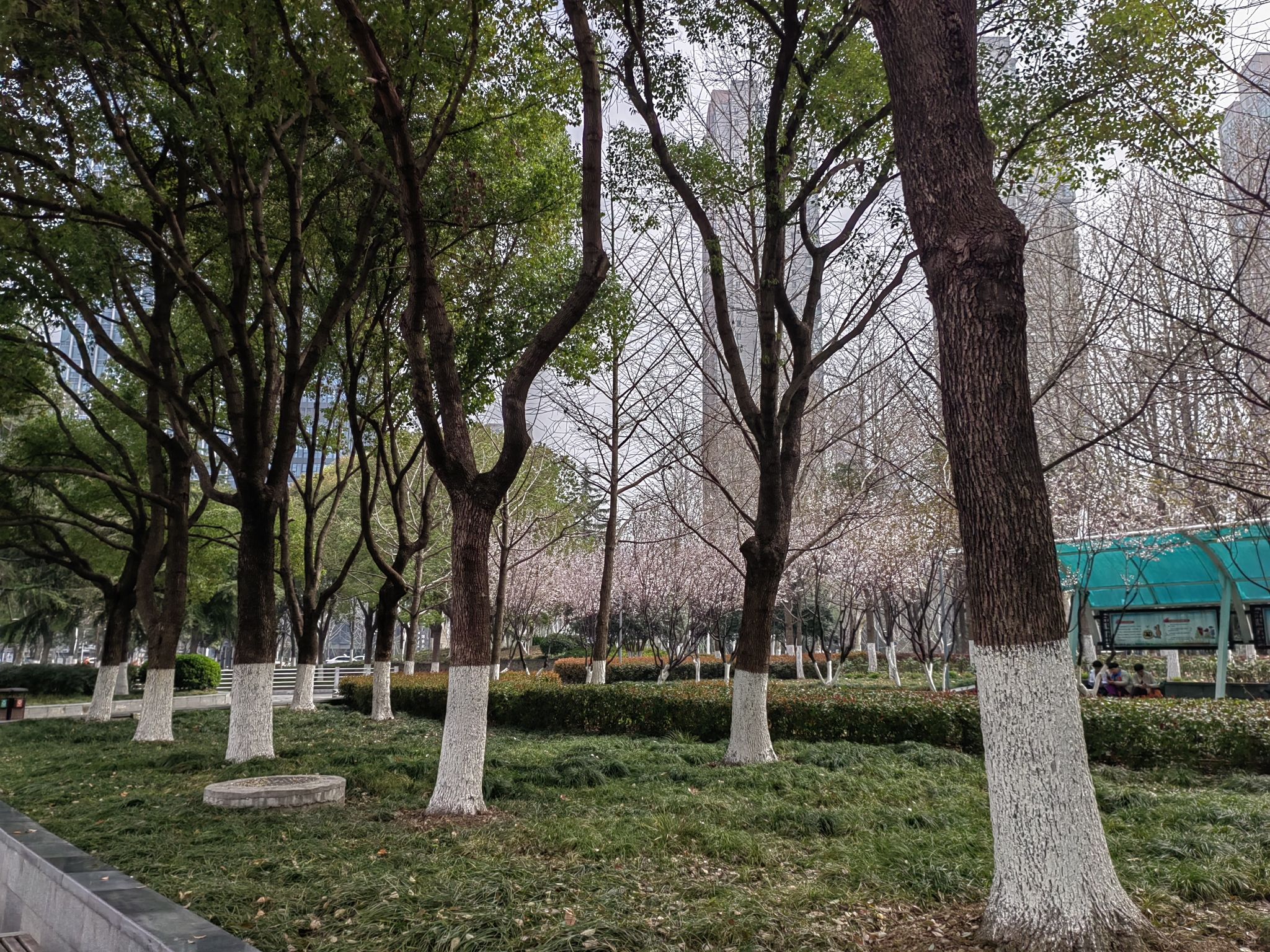 后襄河公园旅行图片 2