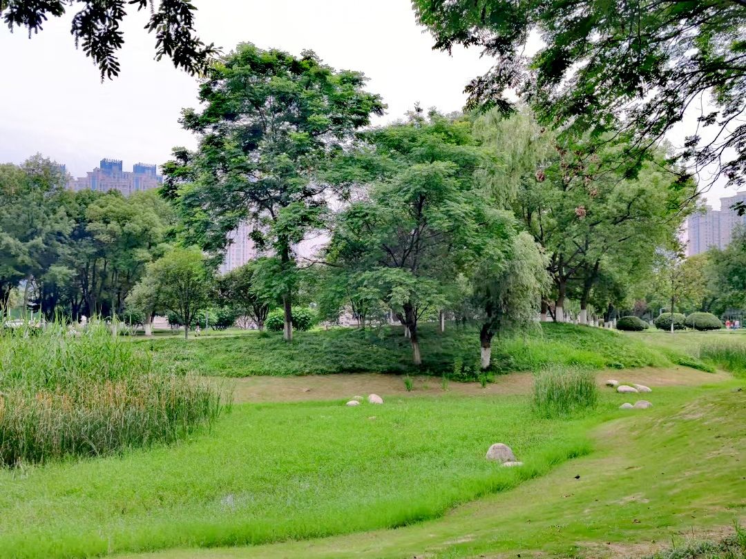 后襄河公园旅行图片 2