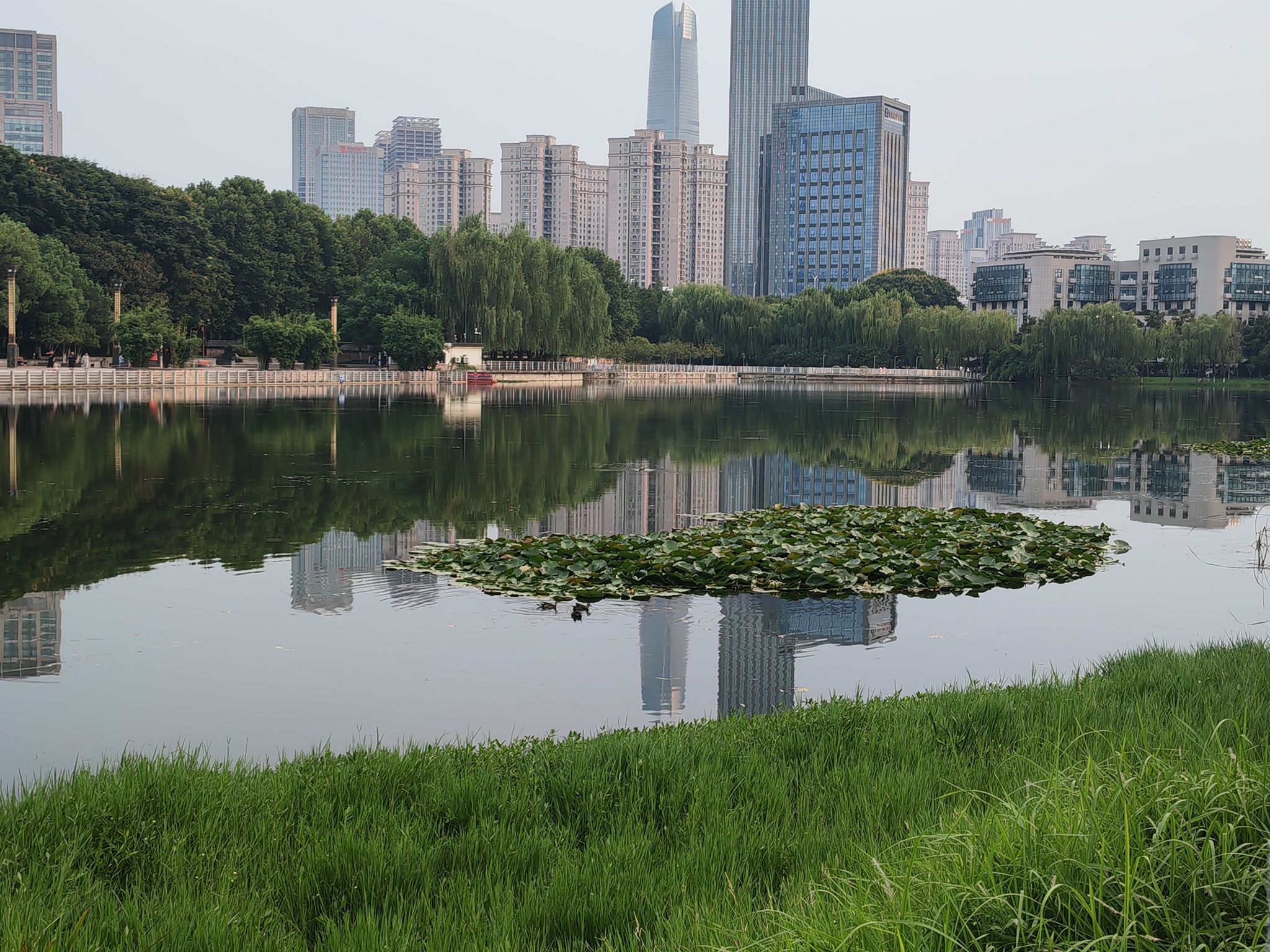 后襄河公园旅行图片 3