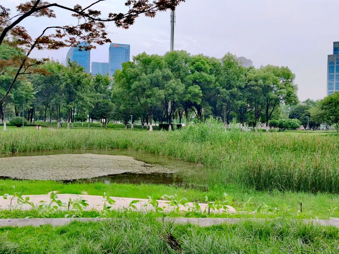 后襄河公园旅行图片 3