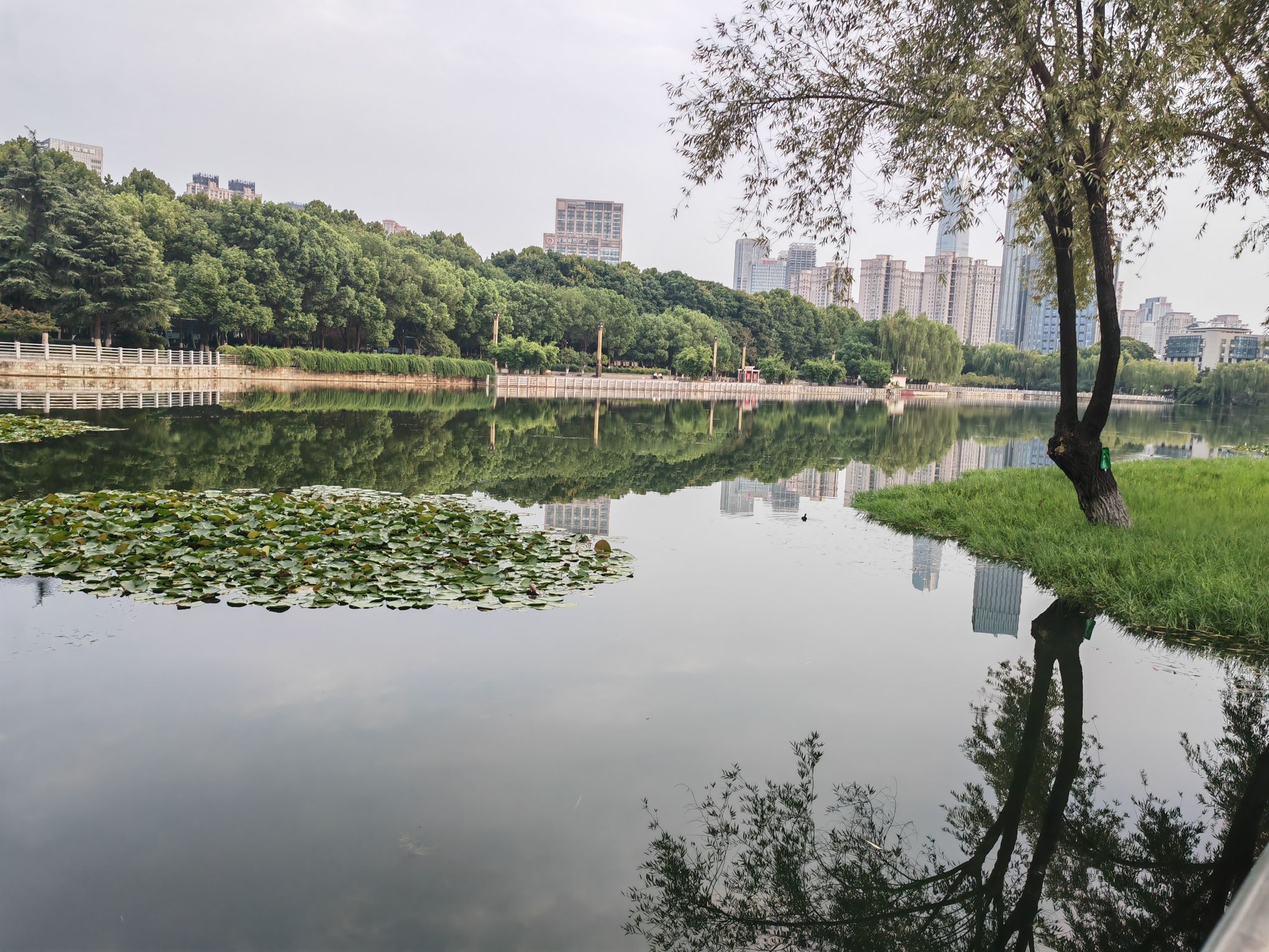 后襄河公园旅行图片 2