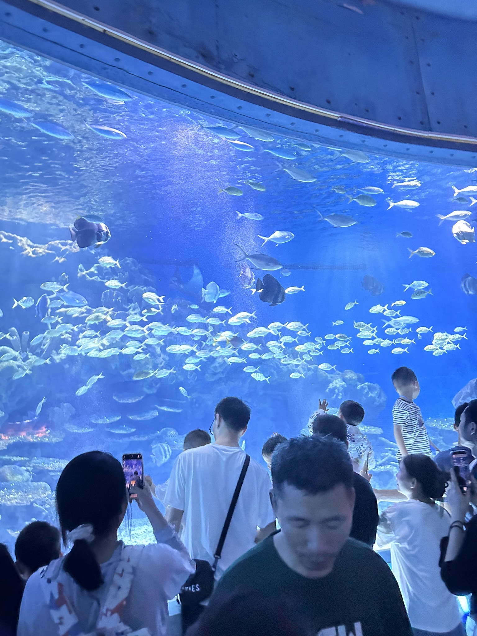海合安武汉极地海洋度假区旅行图片 1