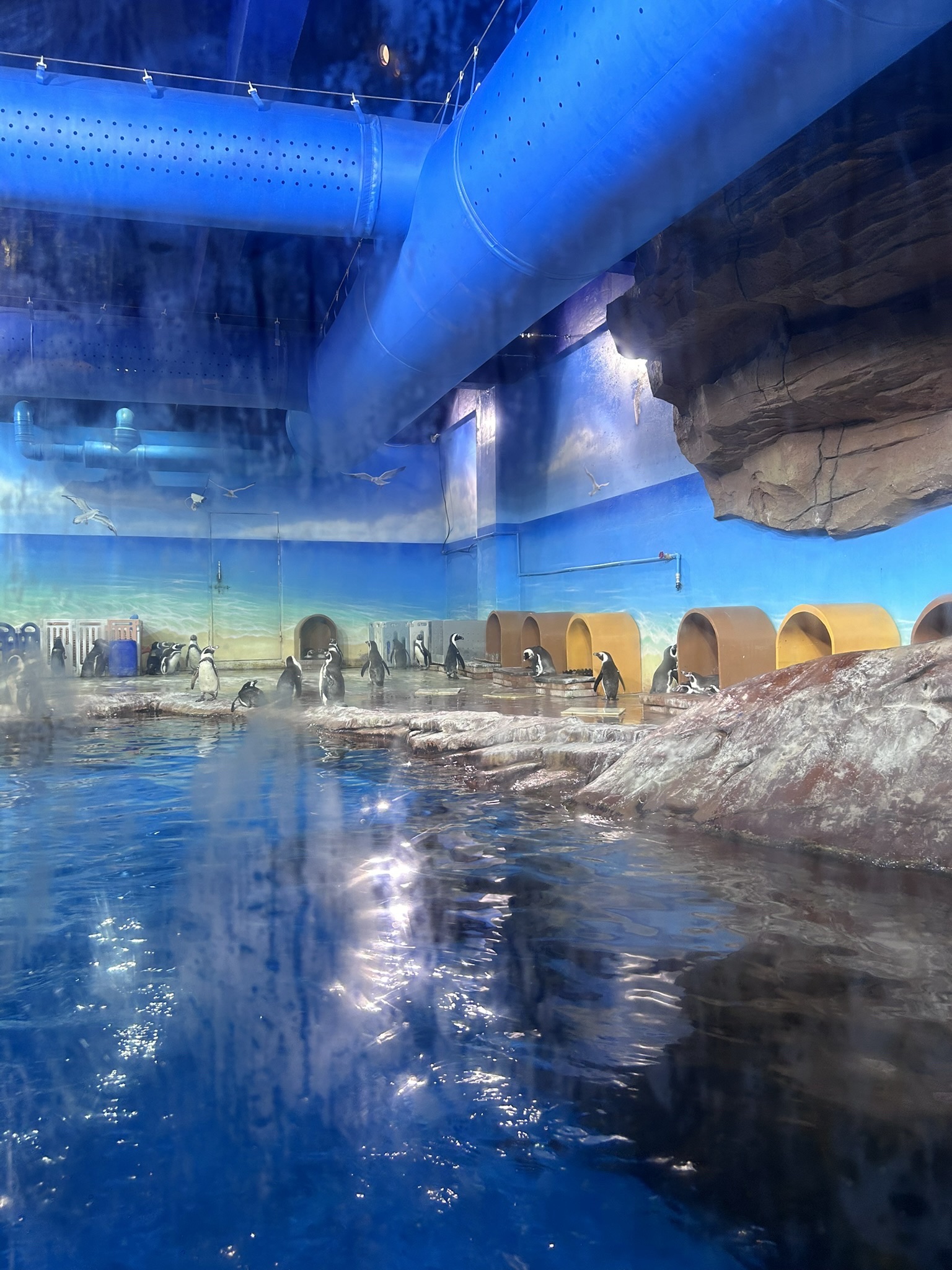 海合安武汉极地海洋度假区旅行图片 2