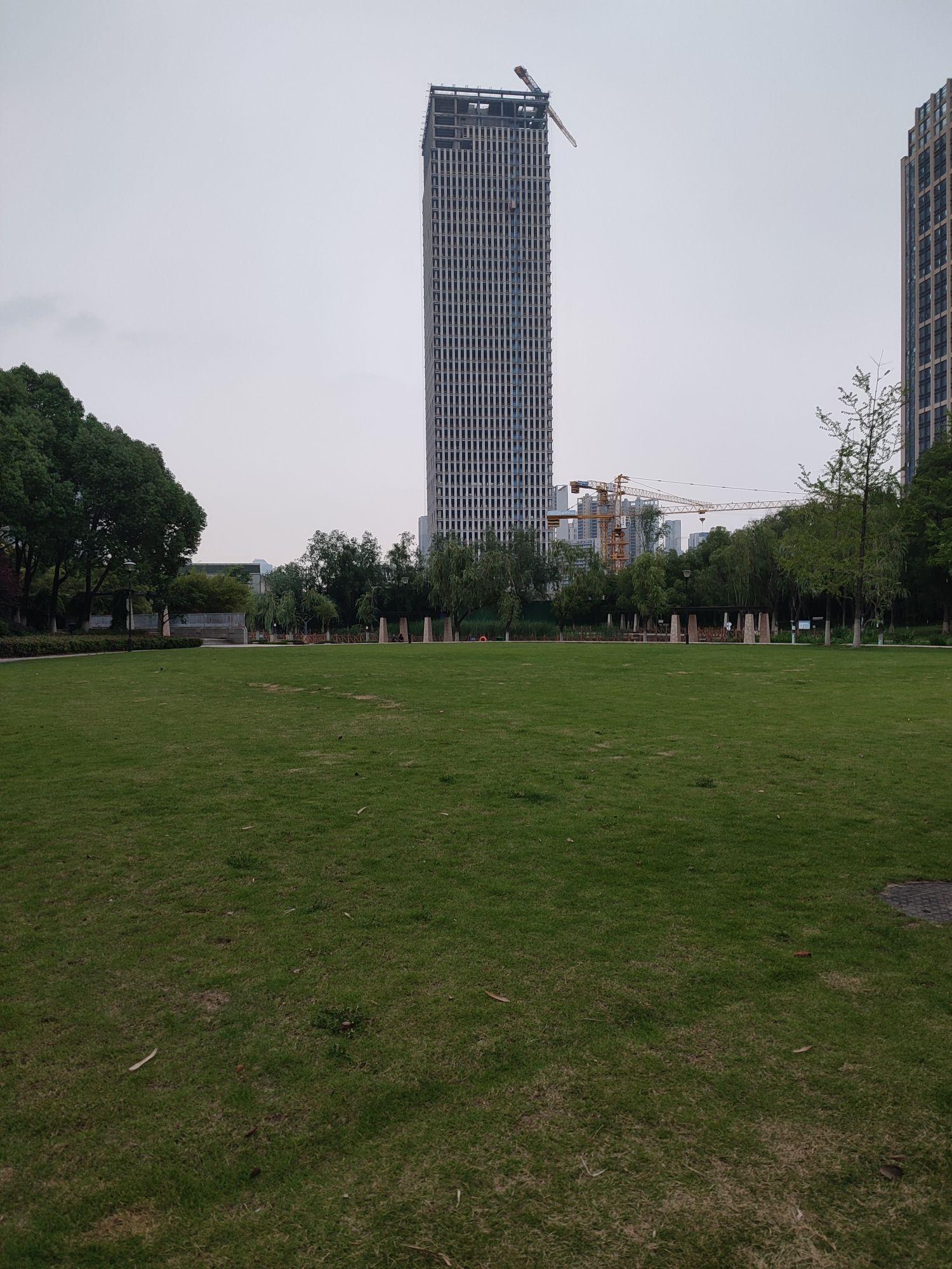 新区公园旅行图片 3