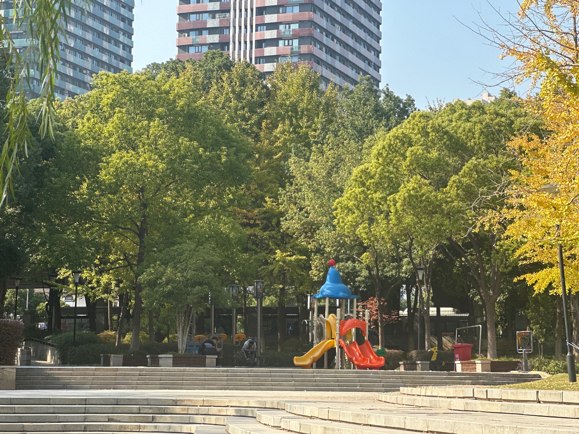 新区公园旅行图片 2