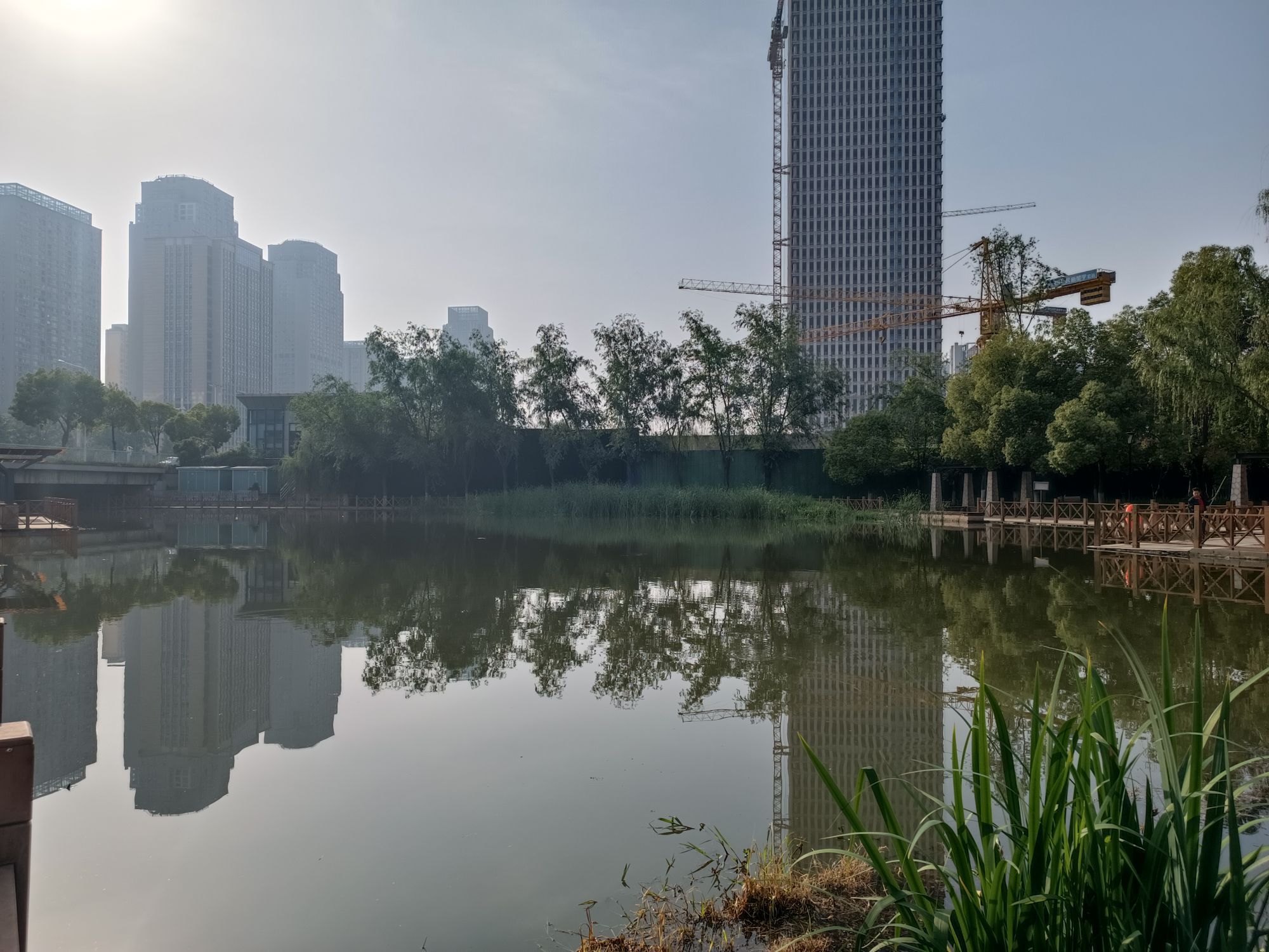 新区公园旅行图片 1