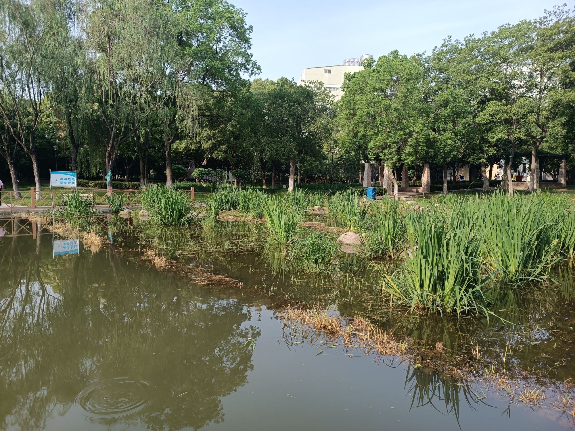 新区公园旅行图片 3