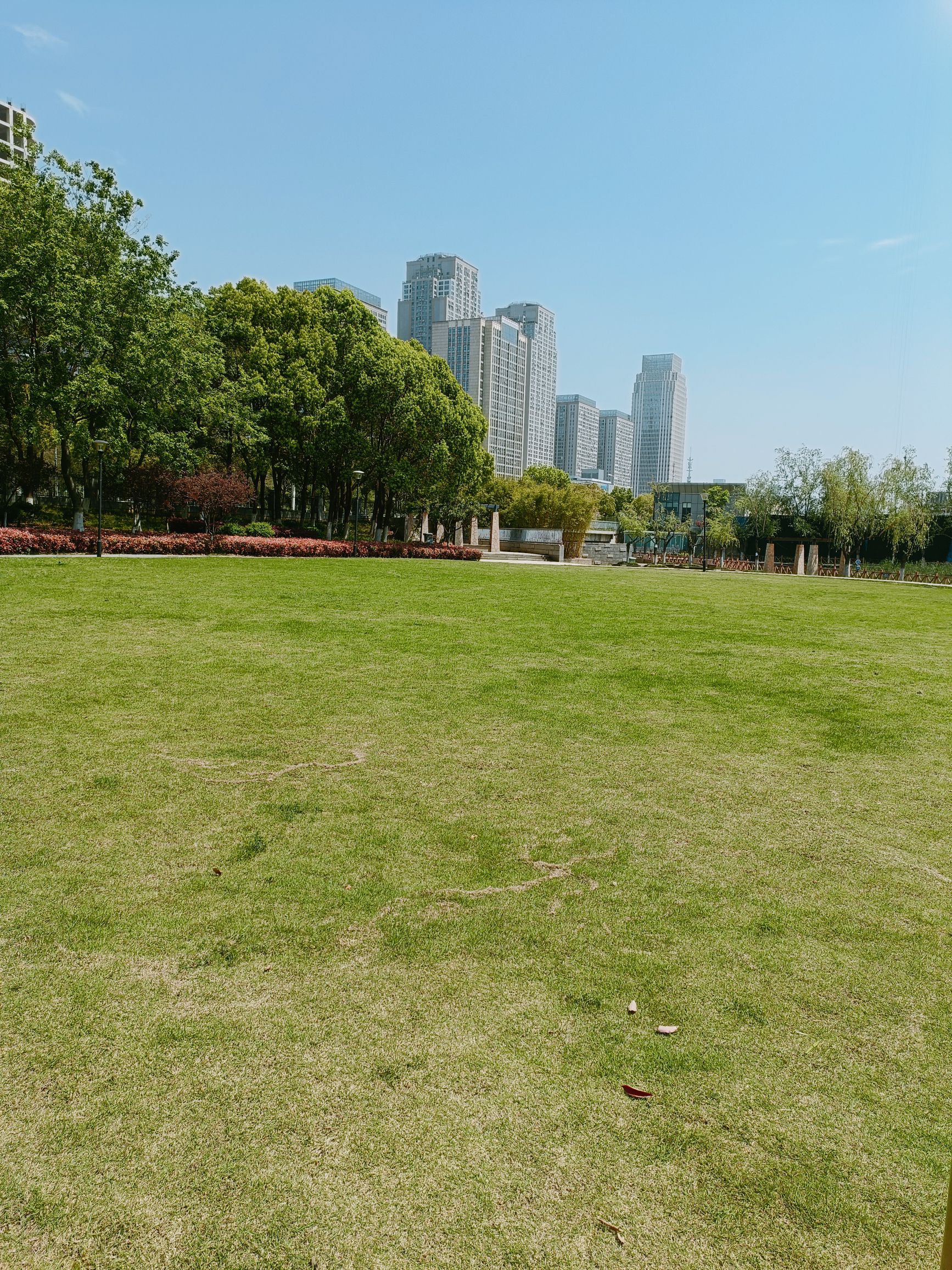 新区公园旅行图片 2