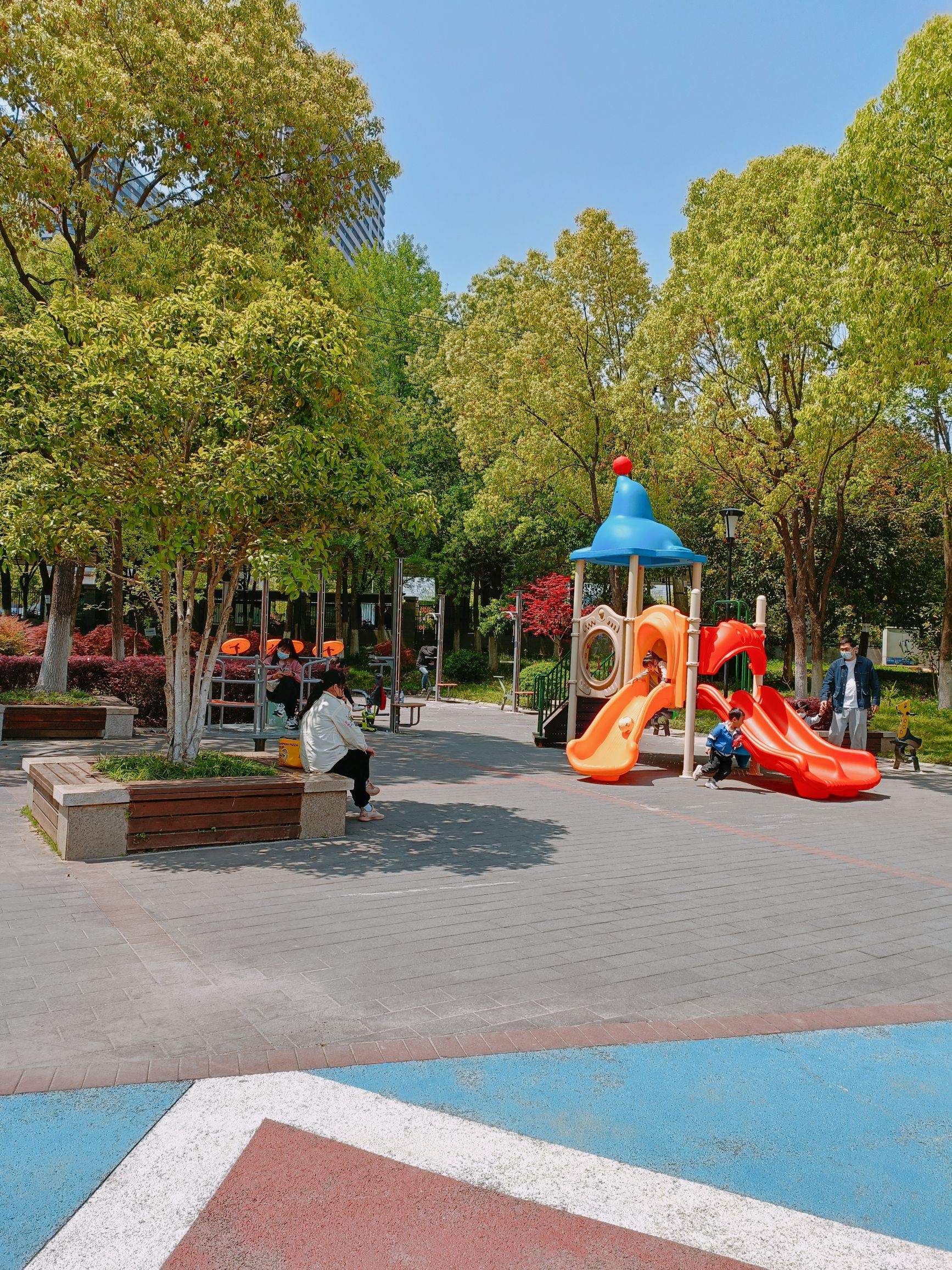 新区公园旅行图片 3