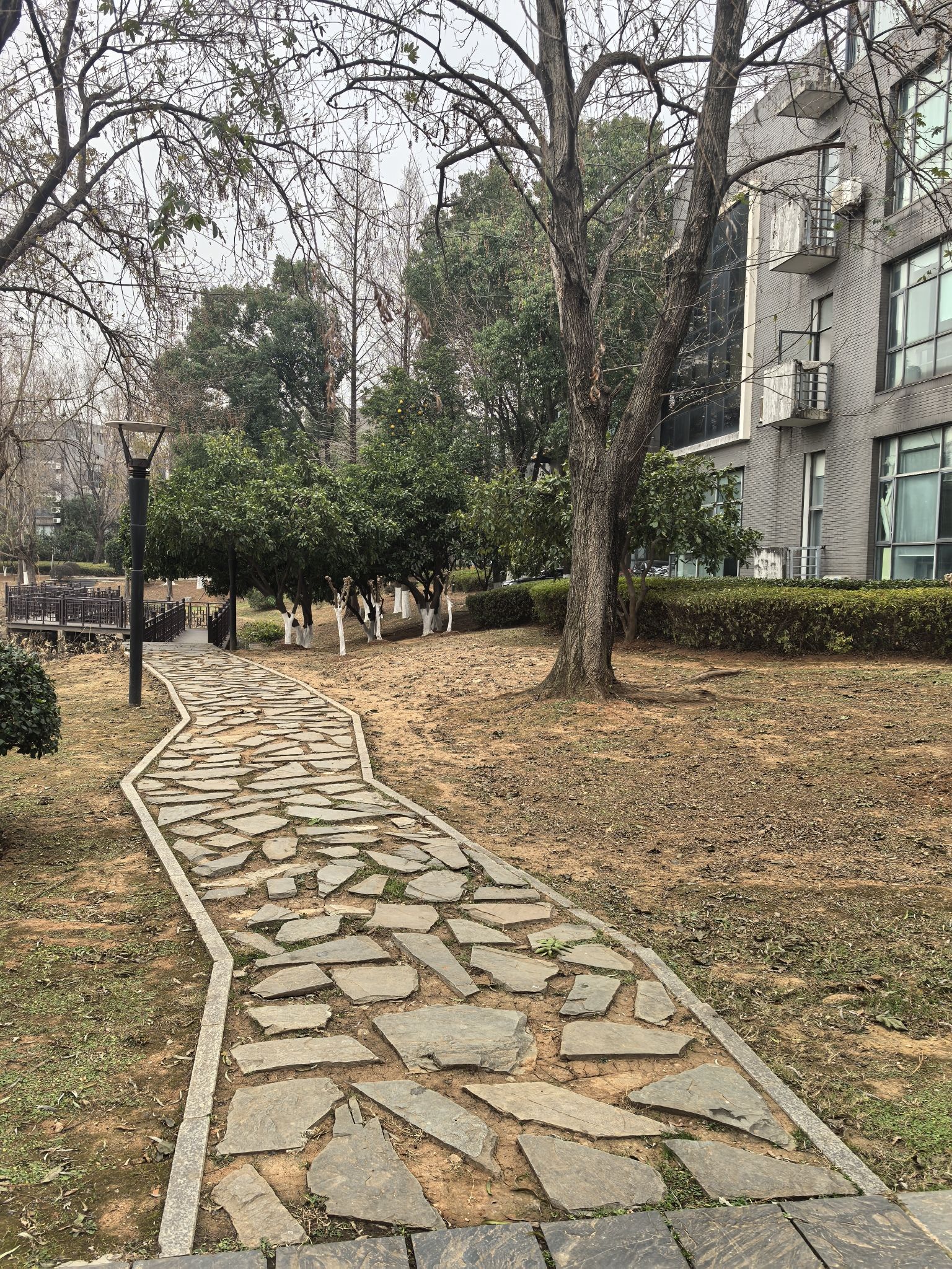 华中科技大学科技园创新基地实景图（3）