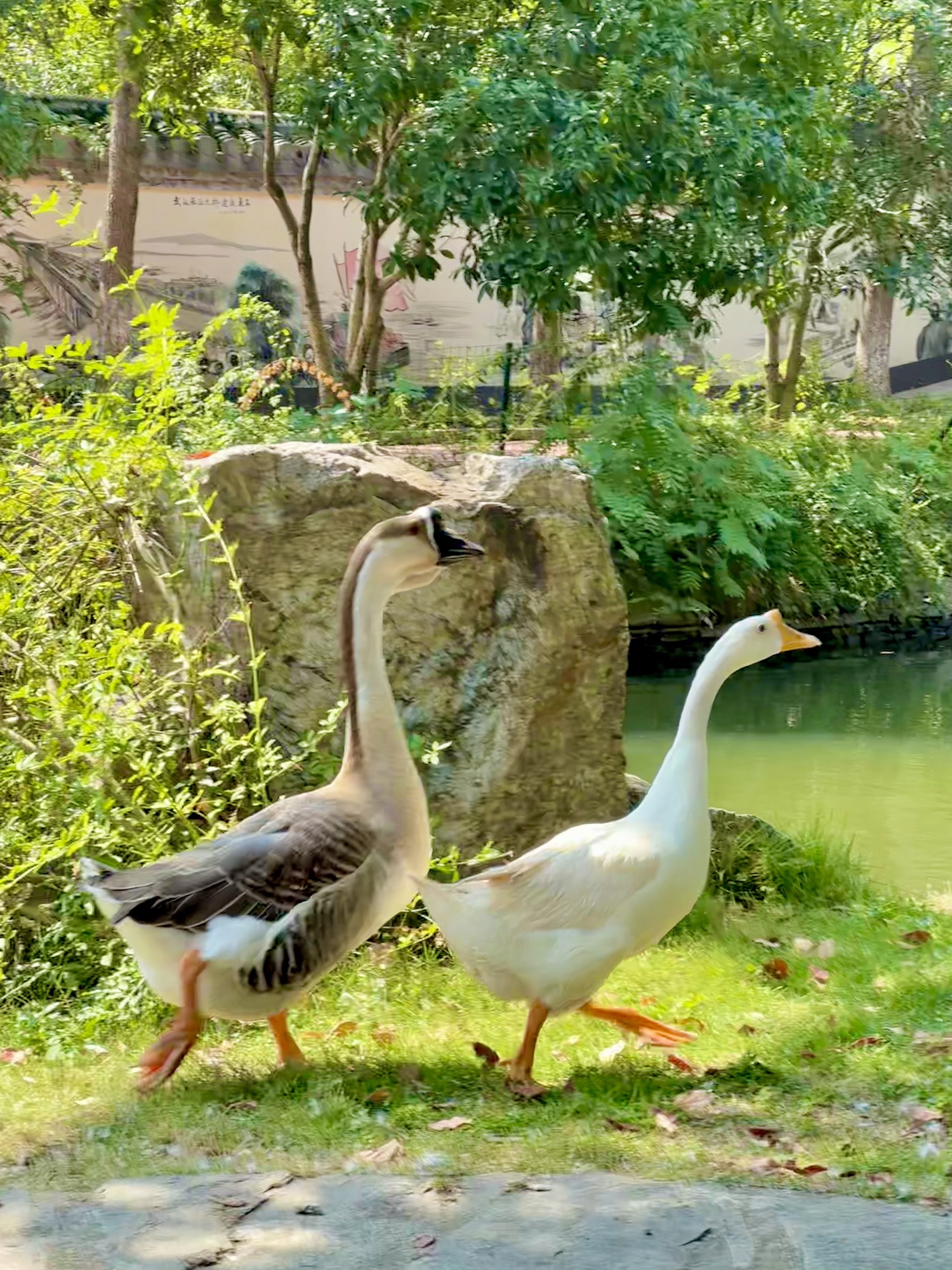 张公山寨景区旅行图片 3