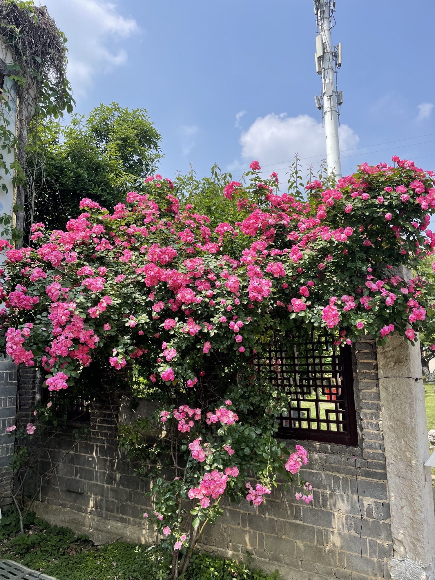 张公山寨景区旅行图片 2