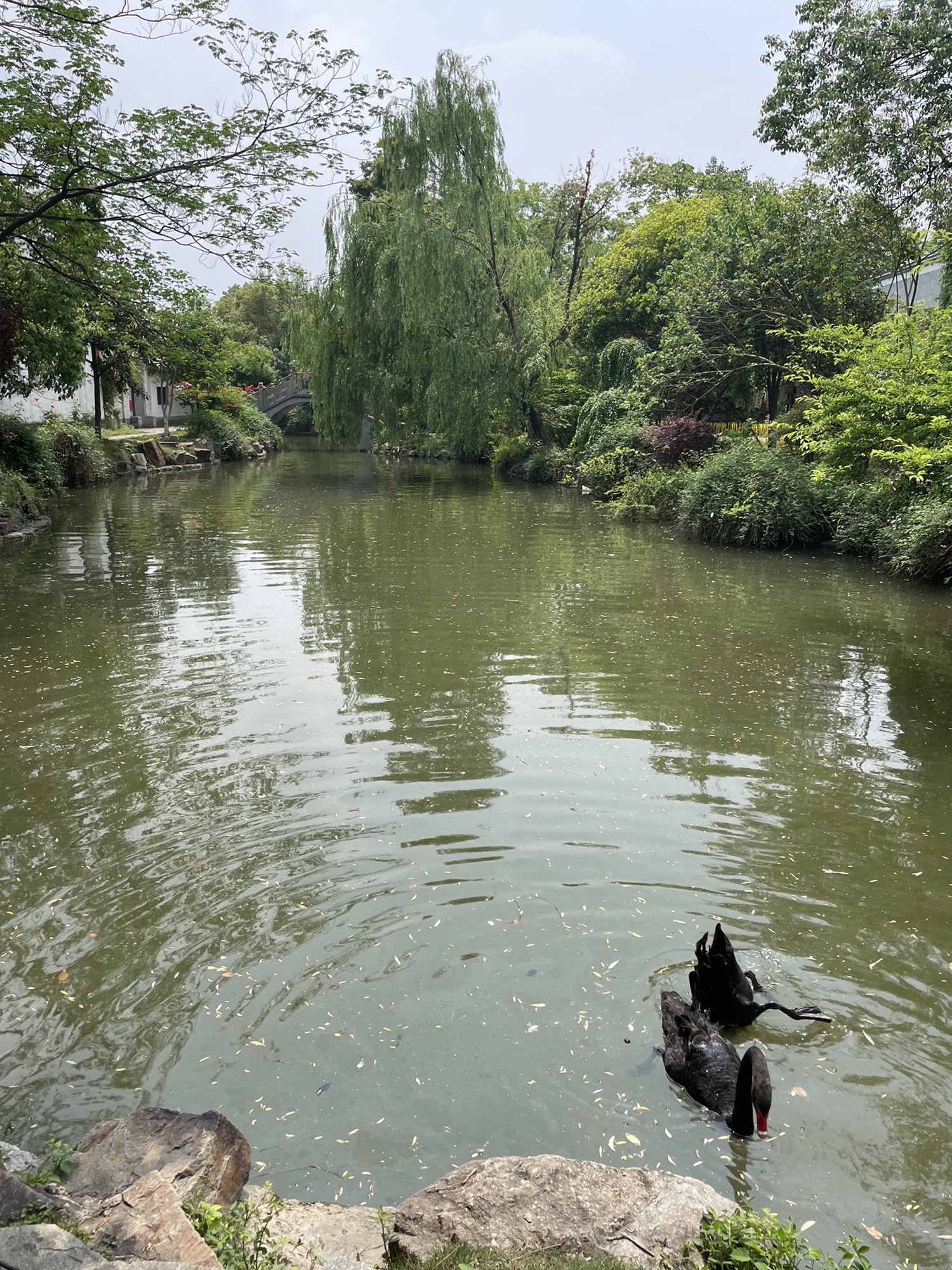 张公山寨景区旅行图片 3