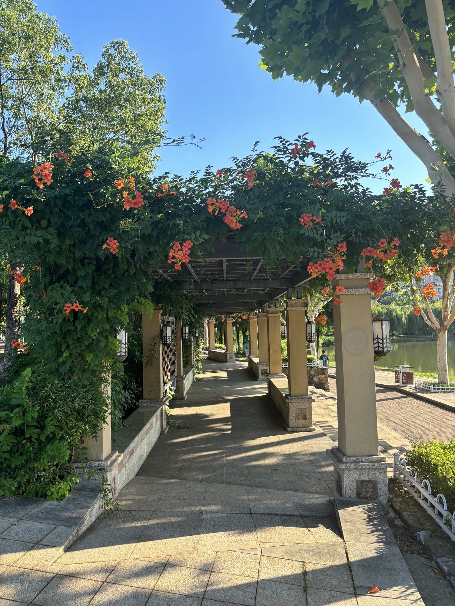 南湖幸福湾水上公园旅行图片 3