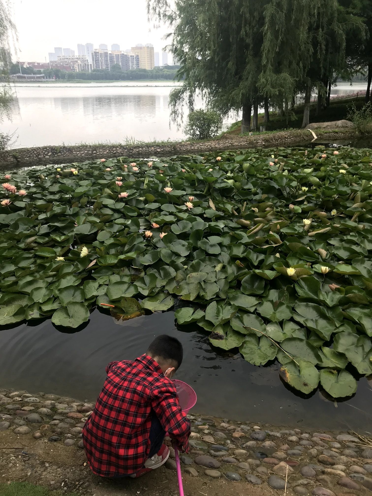 南湖幸福湾水上公园旅行图片 3