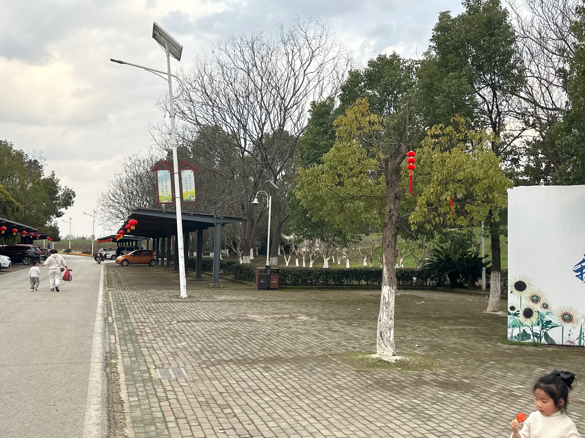 石榴红村旅行图片 3