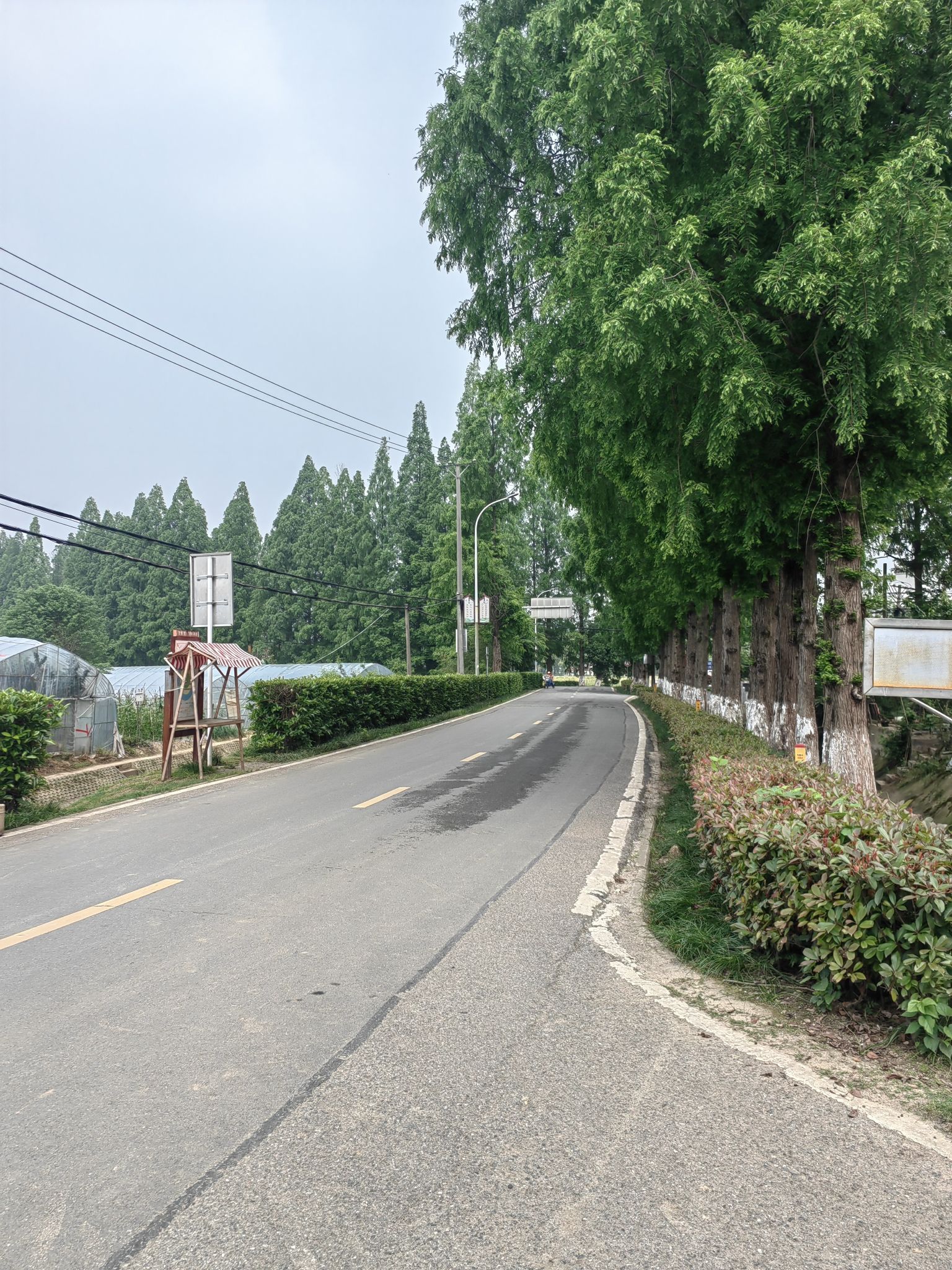 石榴红村旅行图片 3