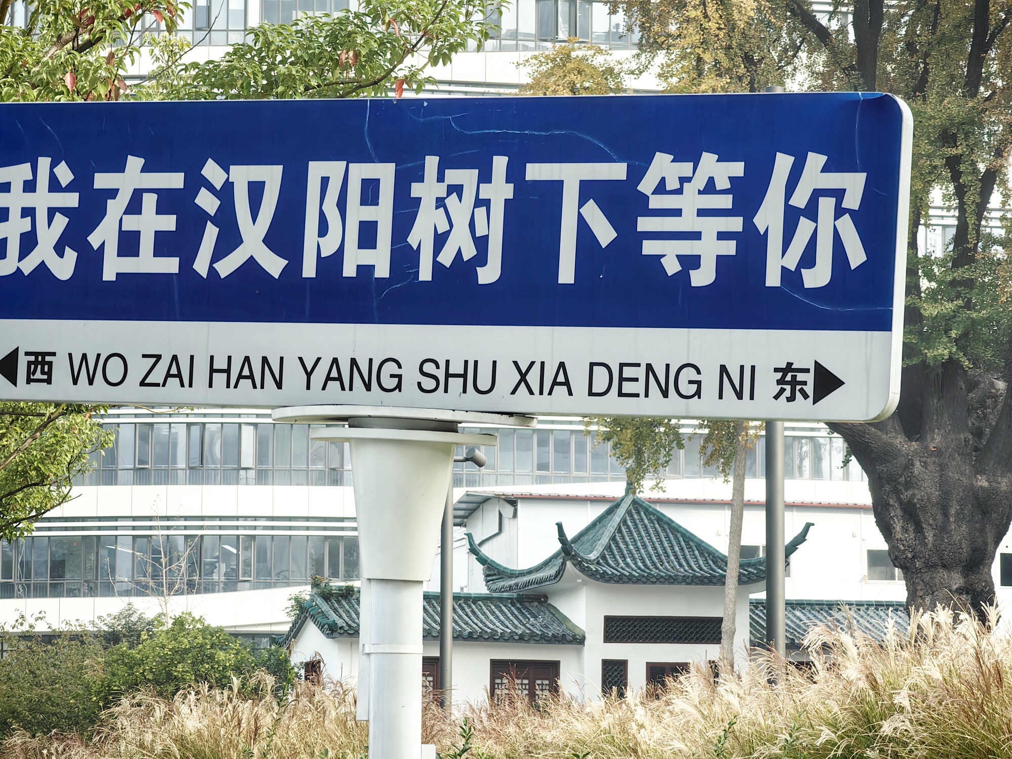 汉阳树旅行图片 1