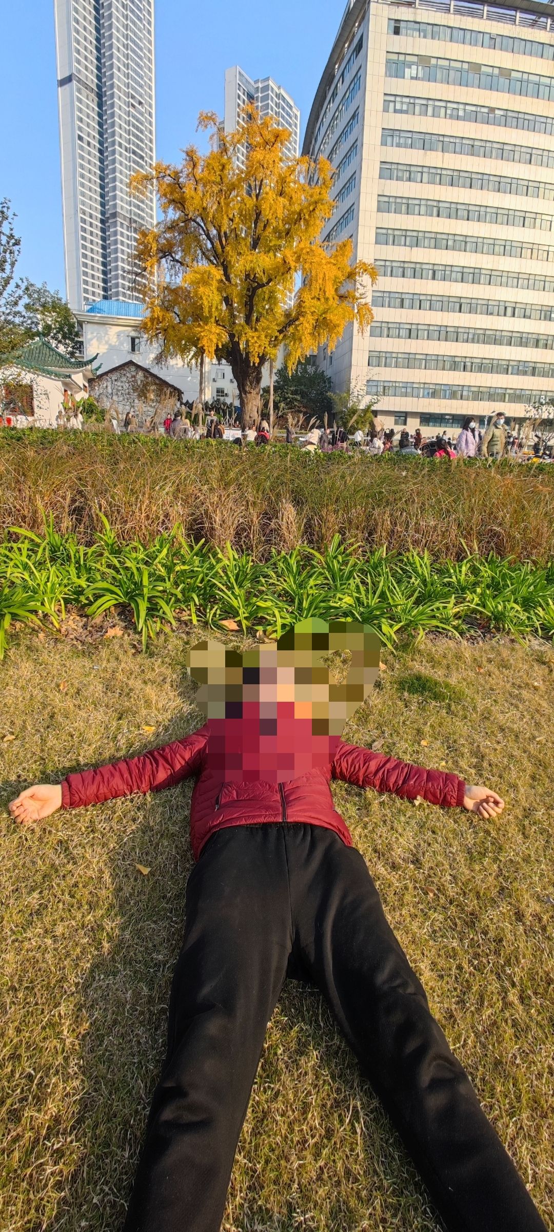 汉阳树旅行图片 3