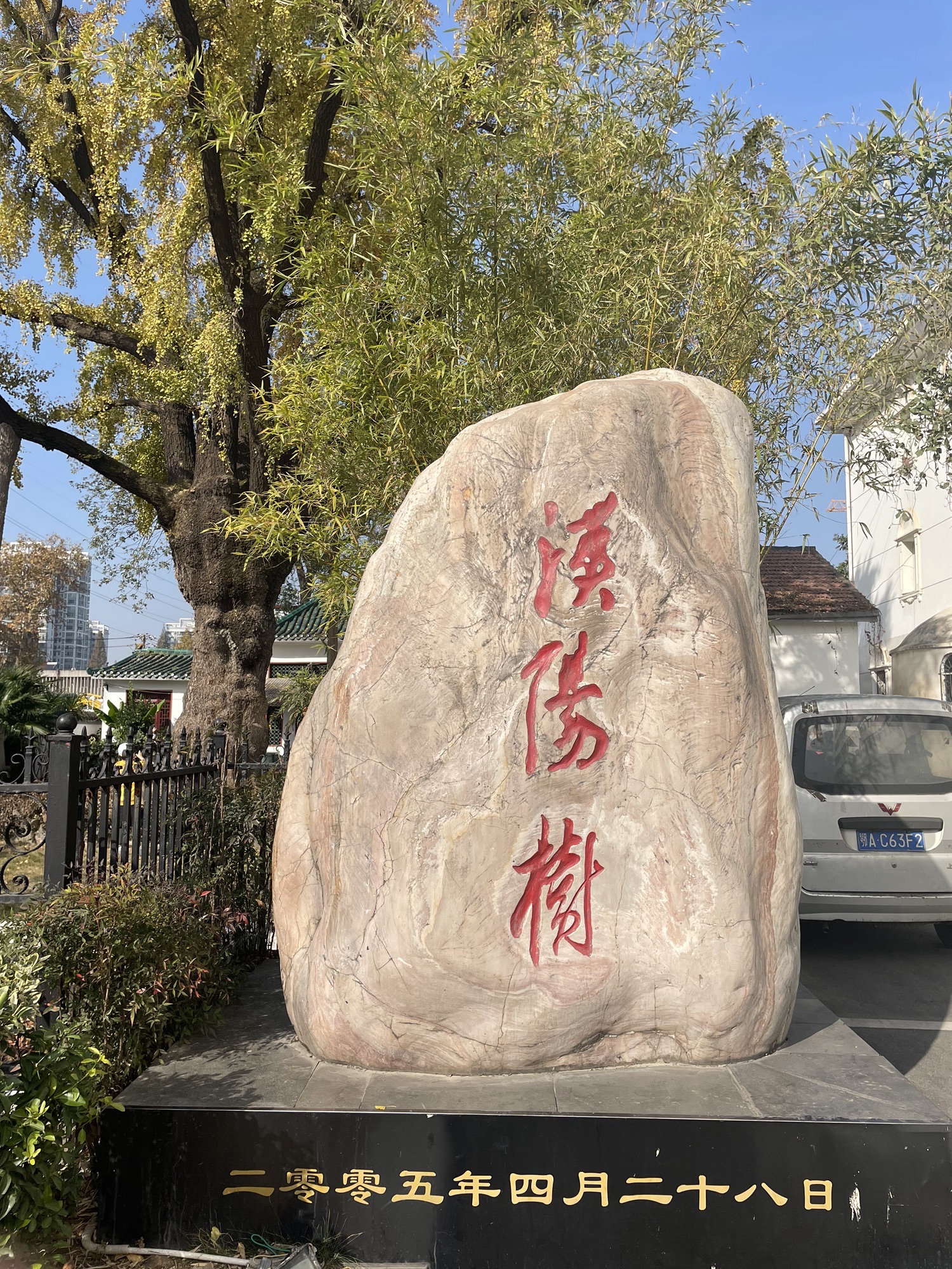 汉阳树旅行图片 3