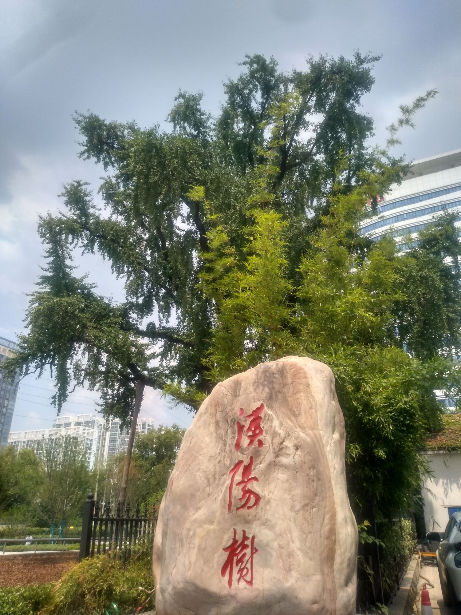汉阳树旅行图片 1