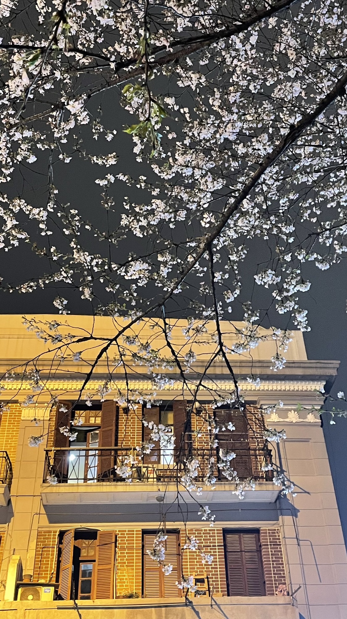 大陆坊旧址旅行图片 2