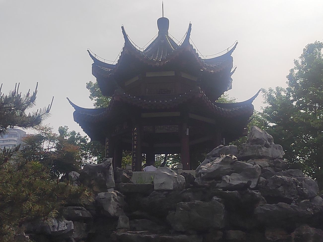 沙湖公园旅行图片 2