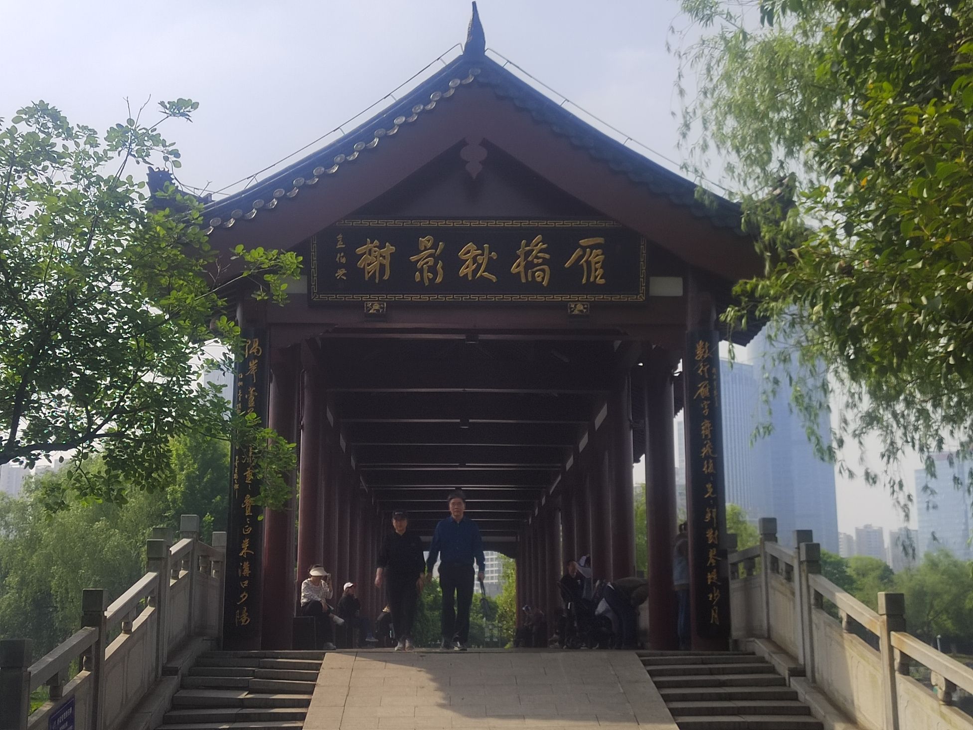 沙湖公园旅行图片 3
