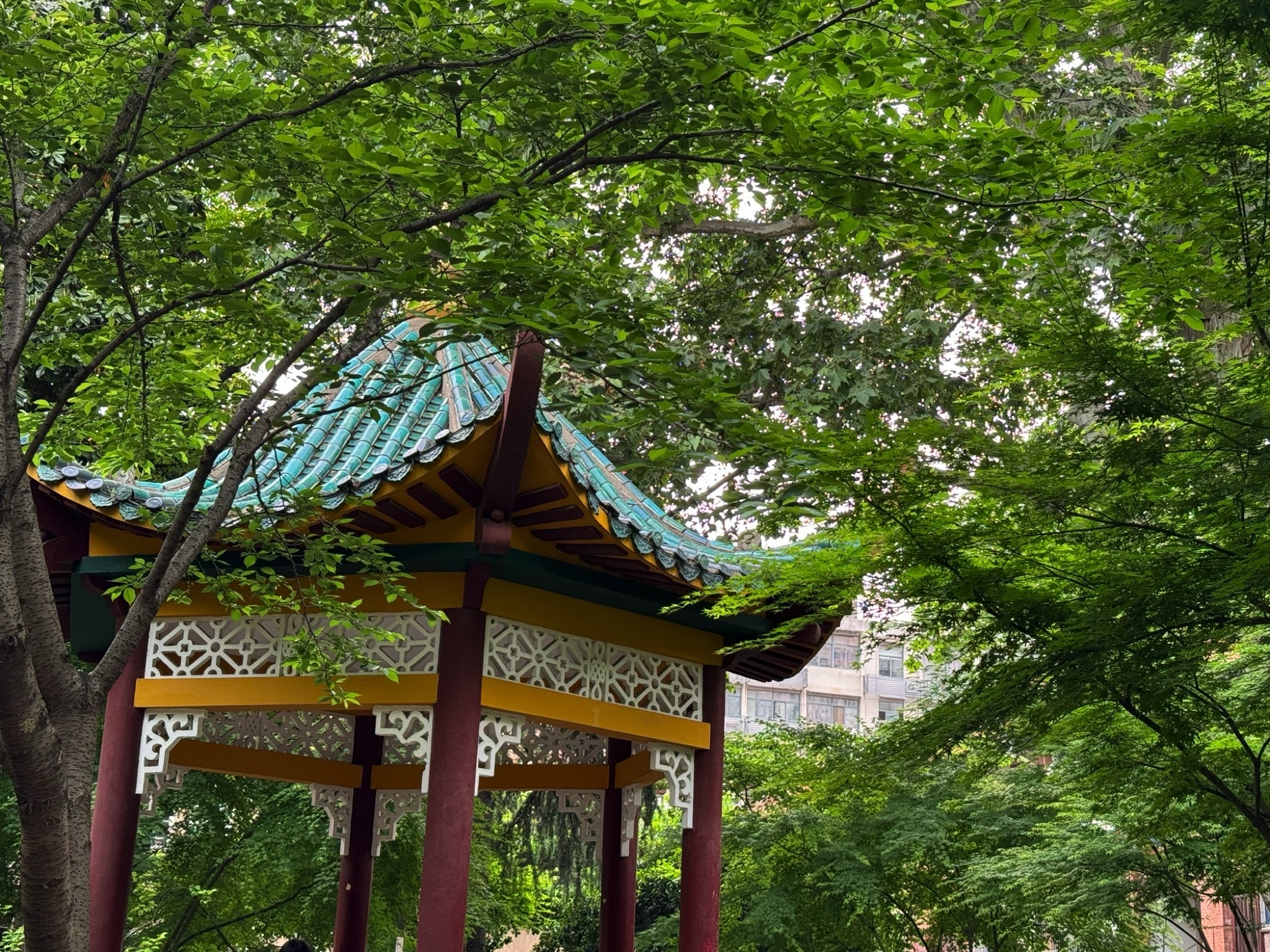 珞园旅行图片 3