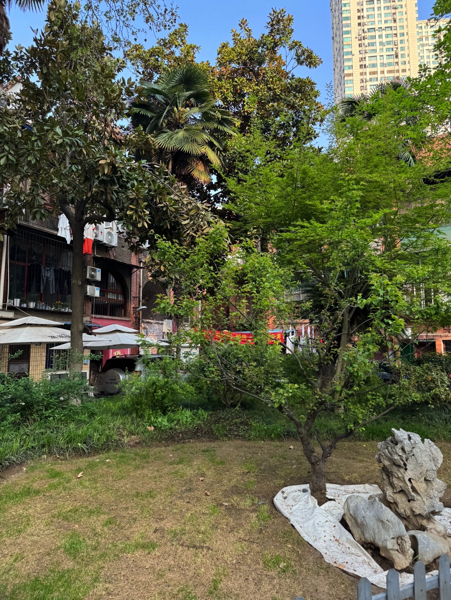 珞园旅行图片 3