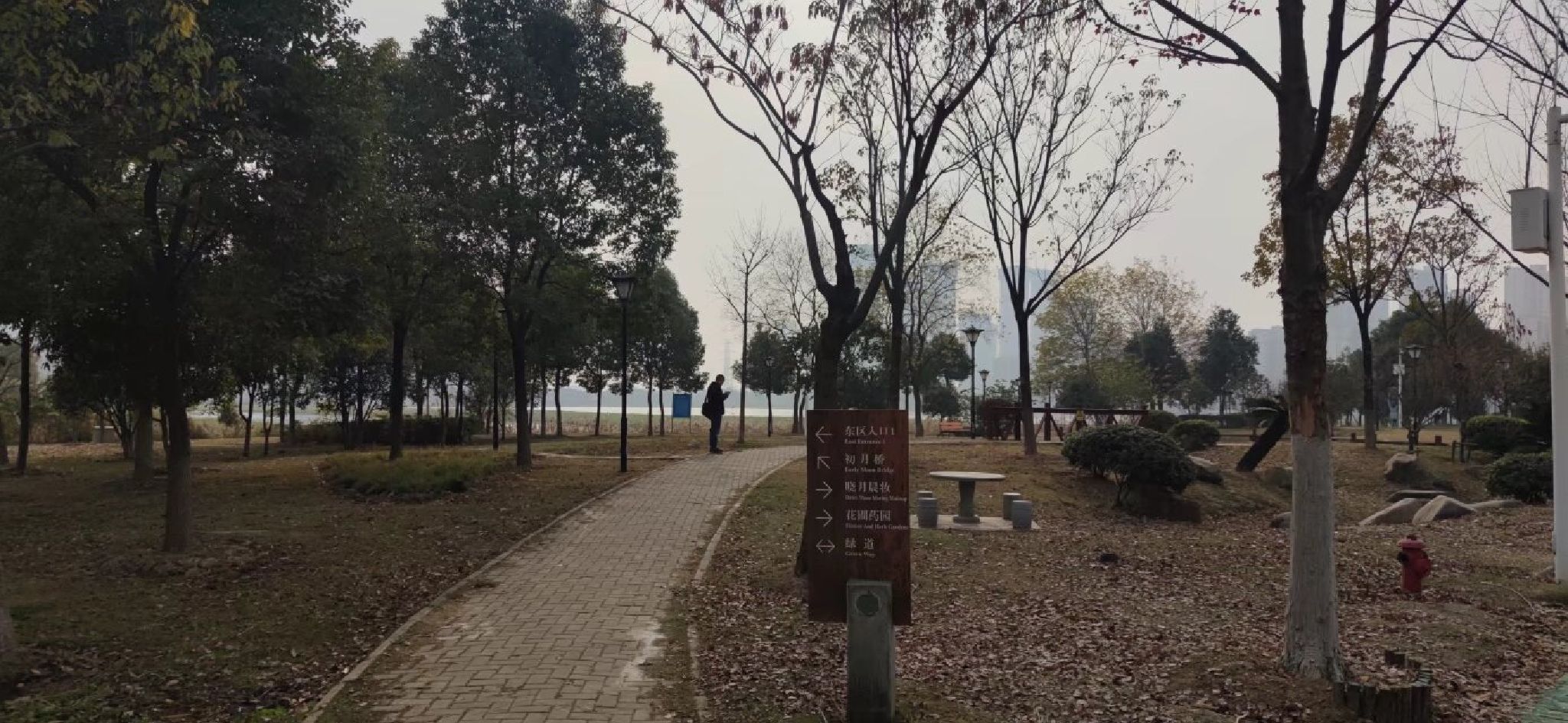 杨春湖公园旅行图片 1