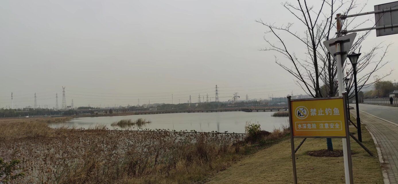 杨春湖公园旅行图片 3