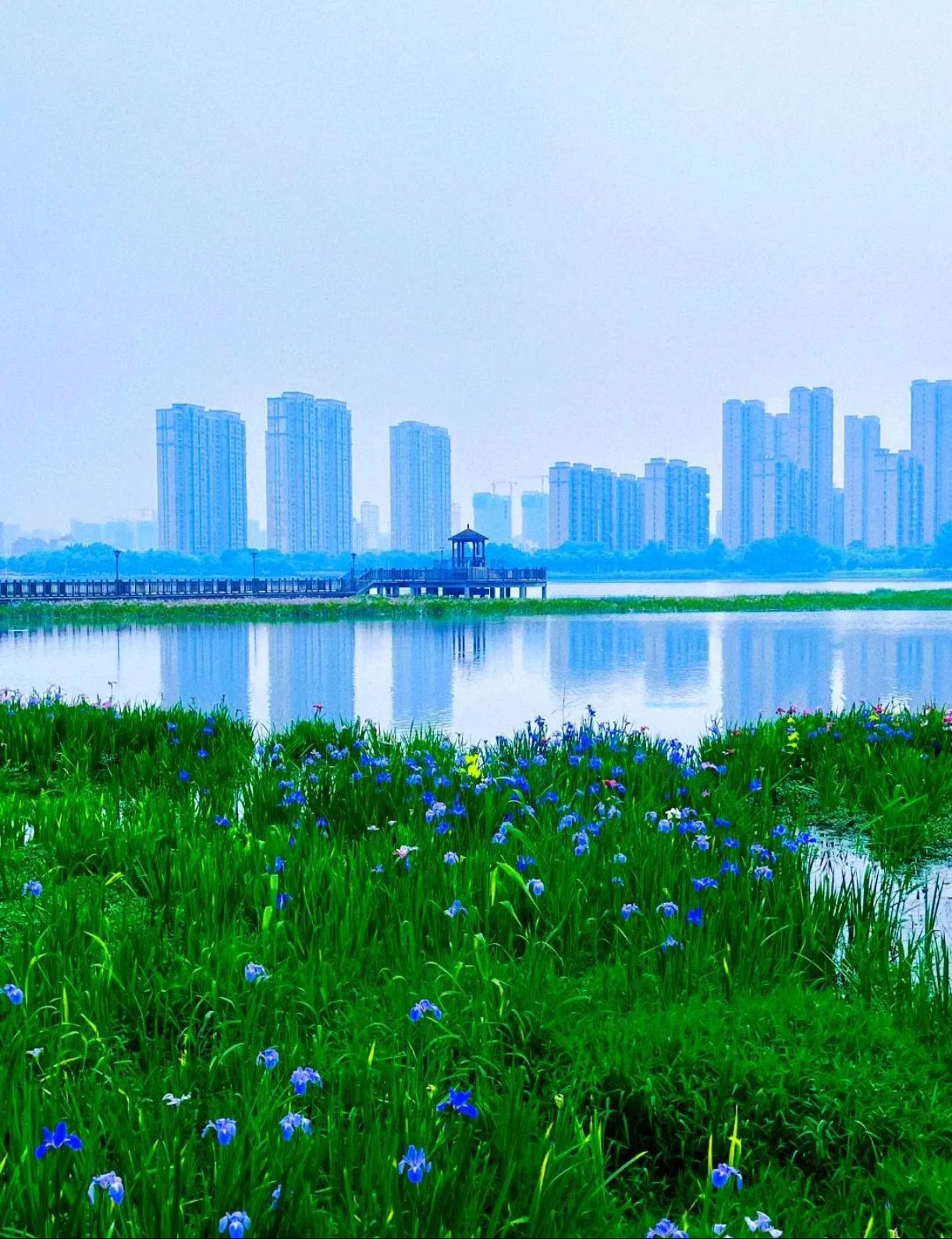 杨春湖公园旅行图片 1