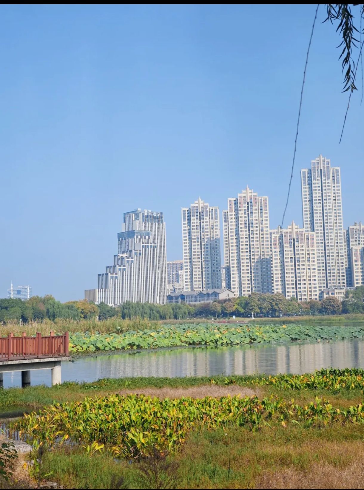 杨春湖公园旅行图片 3