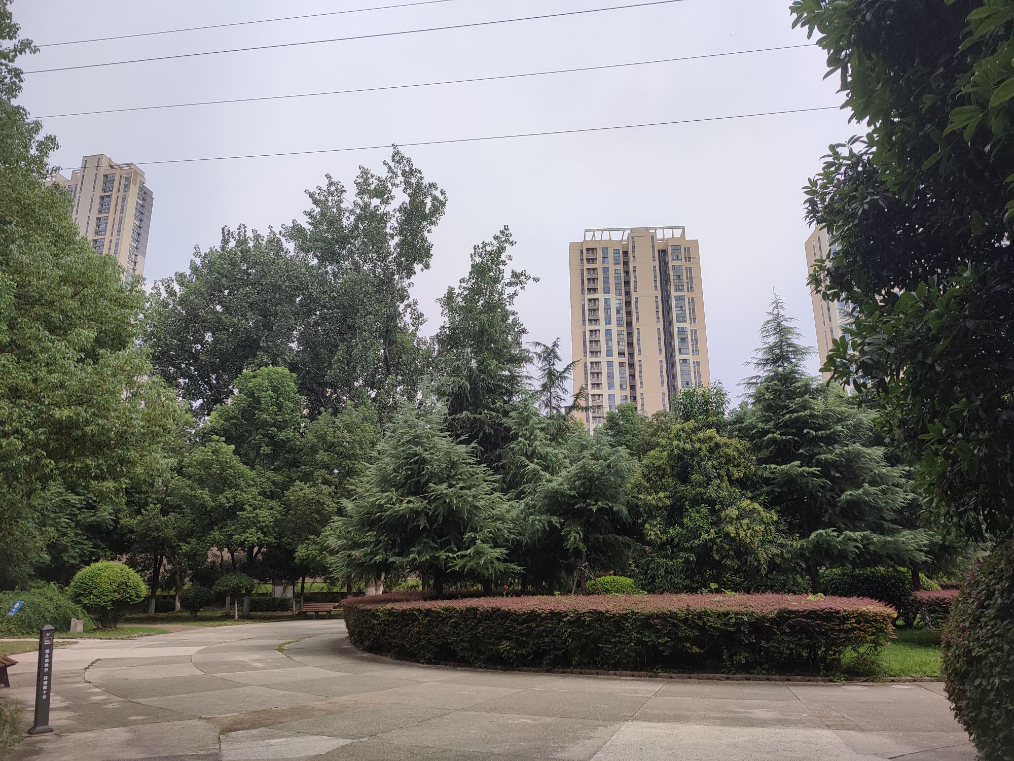 常青花园张之洞公园旅行图片 3